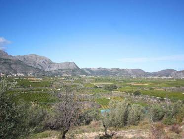 Bestaand - Bouwperceel - Orba Valley - Orba Vallei